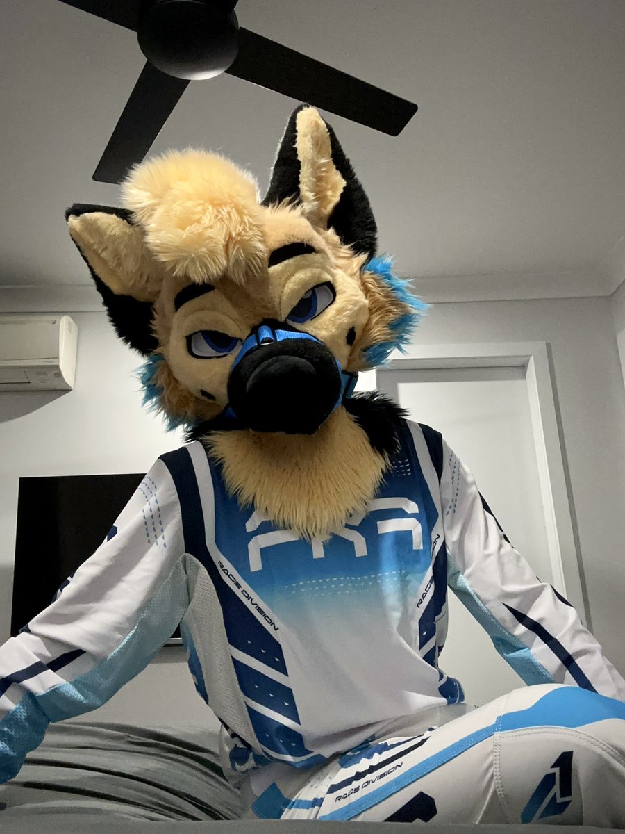 ranger 🐶 tweet media