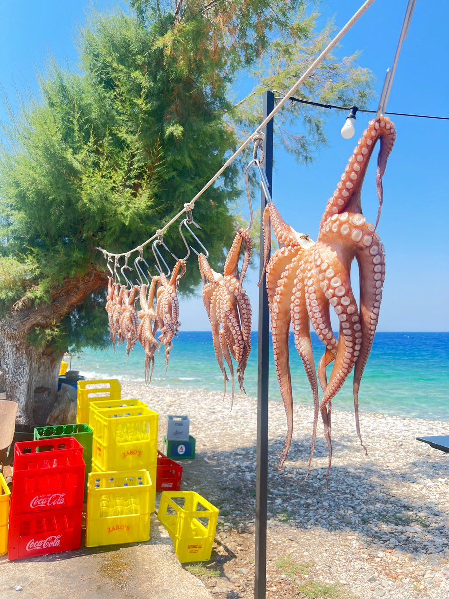 Frau_Nikon's tweet image. #Samos #Greece