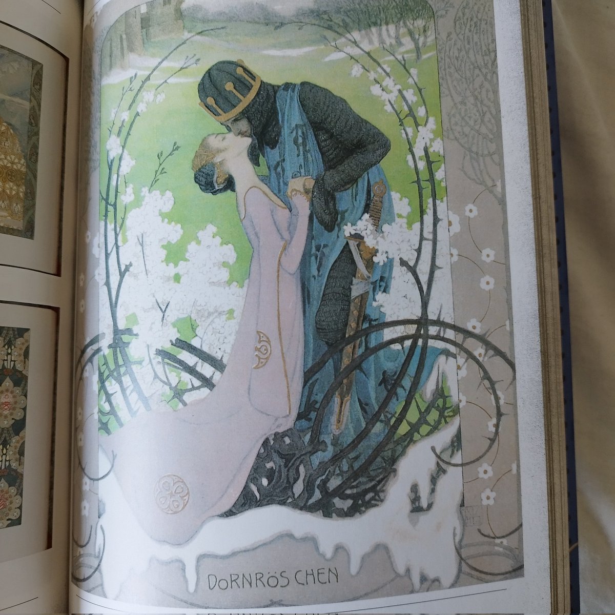 such a pretty book... got it just for the cover and the inside is even better