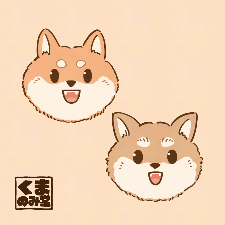 くまのみ くま on X: 
