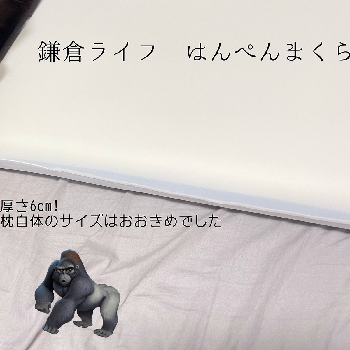 am5_18's tweet photo. 鎌倉ライフ（@kamakulalife ）様から　はんぺんまくら　をいただきました。
名前の通り、はんぺんみたいな6センチの薄いサイズでふかふかした触り心地☁️
フィット感も気持ちよくて、朝までぐっすり。
試した家族からも、「首の負担が減った気がする」と好評でした。

#PR #はんぺんまくら #鎌倉ライフ https://t.co/YxEu27cPaz