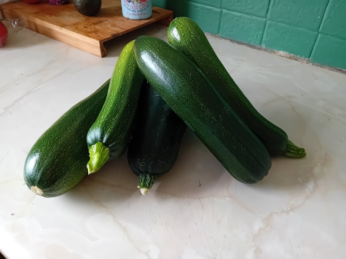 Karen McCabe tweet media