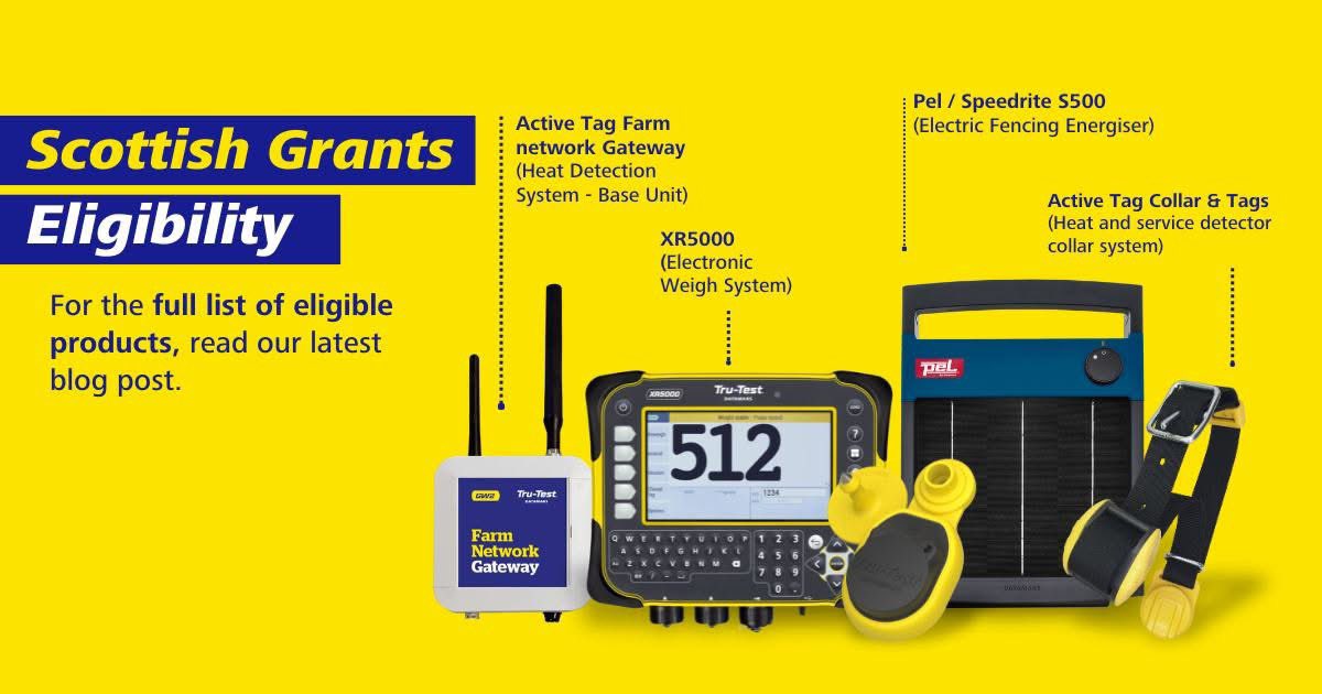 AlisonBraid's tweet image. 📢 Scottish livestock farmers - 
Whether you’re looking to invest in tagging, weighing, or livestock monitoring gear, now’s the time to act. Feel free to contact me regarding any of our products.
shopdatamars.co.uk/scottish-grant…

#FFIS#DatamarsLivestock