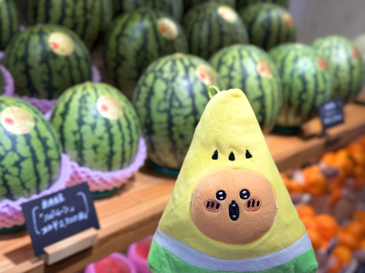 343kuma's tweet image. もぐスイカ🍉

アサちゃんに教えてもらったお店に
🍉パフェを食べに行きました🫶

もぐおめでとう❼🎉