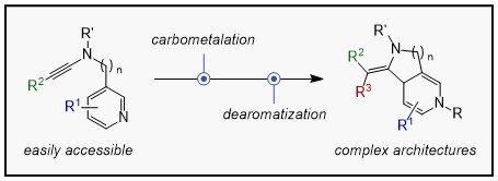 NairoukhGroup's tweet photo. Happy to share our new preprint on @ChemRxiv! 
We developed a concise dearomative cyclization of ynamides to access fused diazabicycles. 
Interested? Check it out and let us know what you think! https://t.co/eqea5xETVo