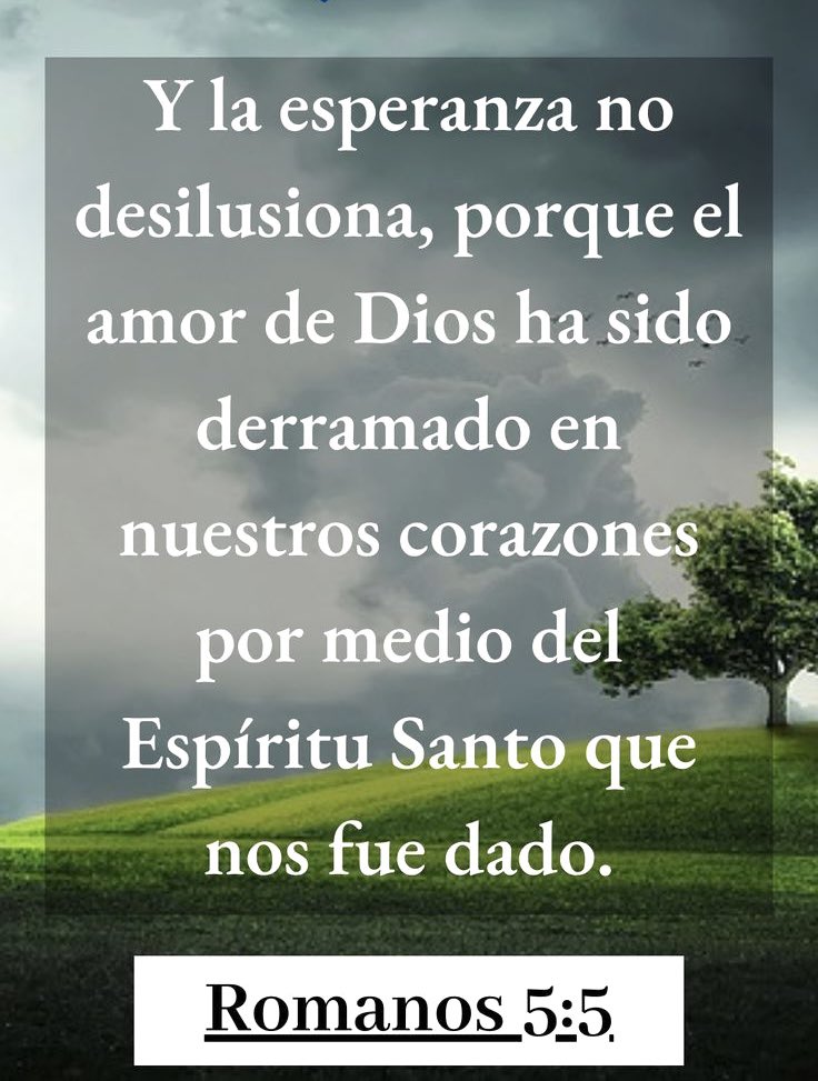 ¡Buenos días y muchas bendiciones!
Que hoy sea un día especial para llenarnos de la esperanza y la fe que Jesús representa en cada uno de nosotros. 
¡¡¡Dios es amor, fe y esperanza sin límites!!!
🙏🙏🙏🙏🙏🙏🙏🙏🙏🙏🙏