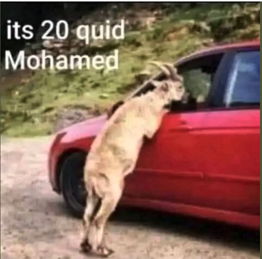 Afternoon Twitter...