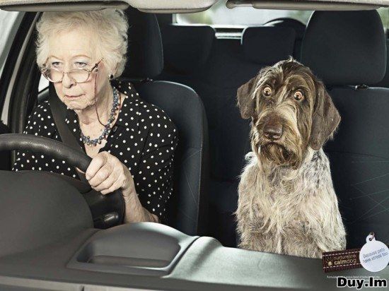 Me, with someone who has 'L' written on their car.