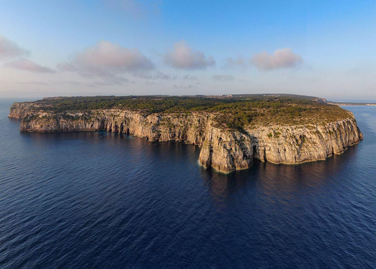 El <a href="/goib/">Govern de les Illes Balears</a>, a proposta del sector i del <a href="/consell_formen/">Consell de Formentera</a>, ampliarà la Reserva Marina dels Freus en 5.600 hectàrees i la unirà amb la de la Punta de sa Creu

És un nou pas en la sostenibilitat dels recursos pesquers i en la conservació de la biodiversitat

🔗 tn.caib.es/RMFreus