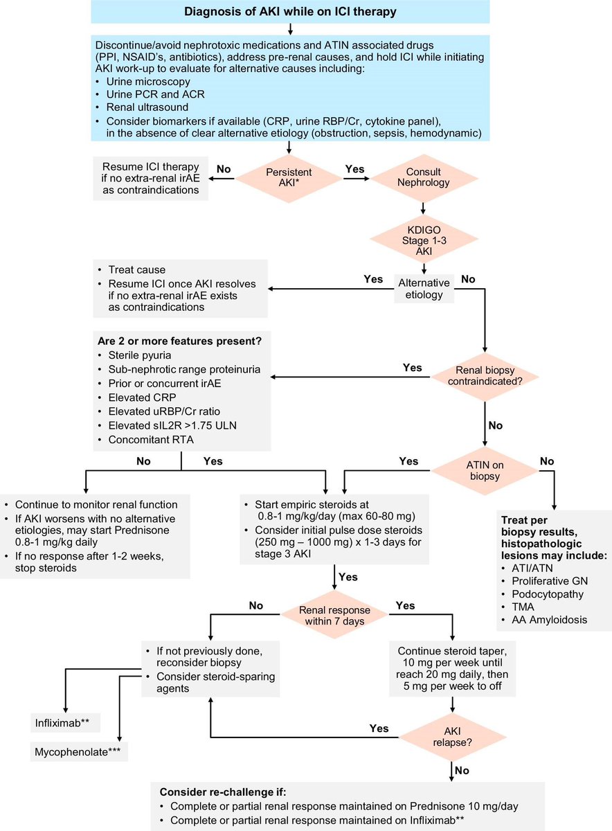 Dr. Hardik Patel 🩺💉 (@hardik4u24) on Twitter photo 🩺Diagnosis and Mx of AKI on immune checkpoint inhibitors?
🔪When to biopsy?
💉 Steroid or spare?
💊Mycophenolate vs infliximab?
#OncoNephrology 🦀
<a href="/HerrmannMd/">Sandra Herrmann MD, FASN</a>
#AKI #ImmuneRelatedAE #NephTwitter #Nephrology #MedX
📖 doi.org/10.1093/ckj/sf… 🆕 🩺Diagnosis and Mx of AKI on immune checkpoint inhibitors?
🔪When to biopsy?
💉 Steroid or spare?
💊Mycophenolate vs infliximab?
#OncoNephrology 🦀
<a href="/HerrmannMd/">Sandra Herrmann MD, FASN</a>
#AKI #ImmuneRelatedAE #NephTwitter #Nephrology #MedX
📖 doi.org/10.1093/ckj/sf… 🆕