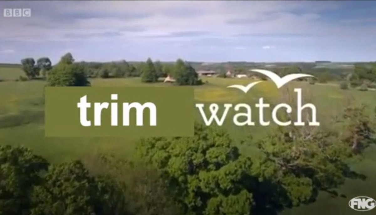 Redgate Athletic tweet media