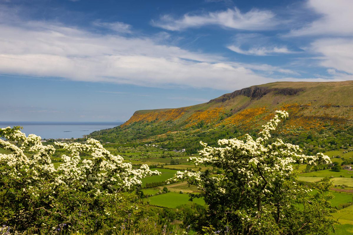 GoToIreland's tweet image. Swipe for a timeline cleanse, and a quick escape to Northern Ireland’s coast. 🌊
The Glens of Antrim stretch along Northern Ireland’s coastline and each glen has its own character! 😍
📍Glens of Antrim, County Antrim
#NorthernIreland