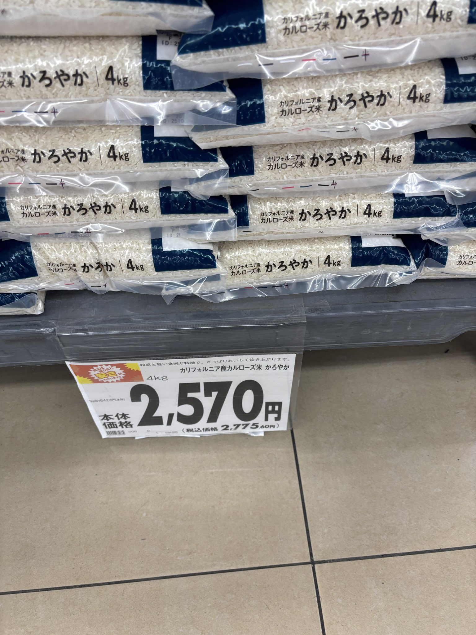 ECOALF MCWGAPAONIAR0712S25161 関税送料込 税込27,500円以上のお買い上げでエコショッパーをプレゼント