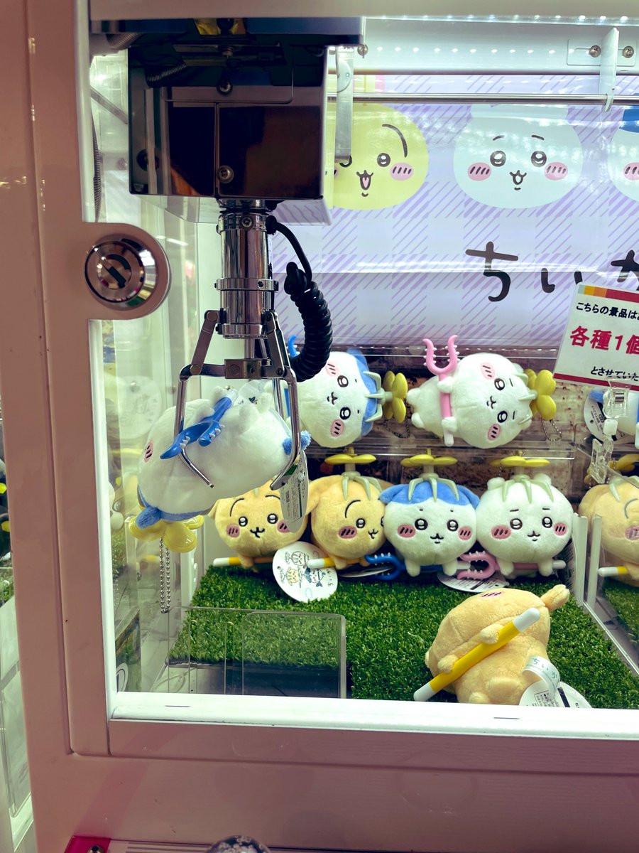 ezotanukicafe's tweet image. 討伐！
（落ちないままフリーズしてうろたえた私）