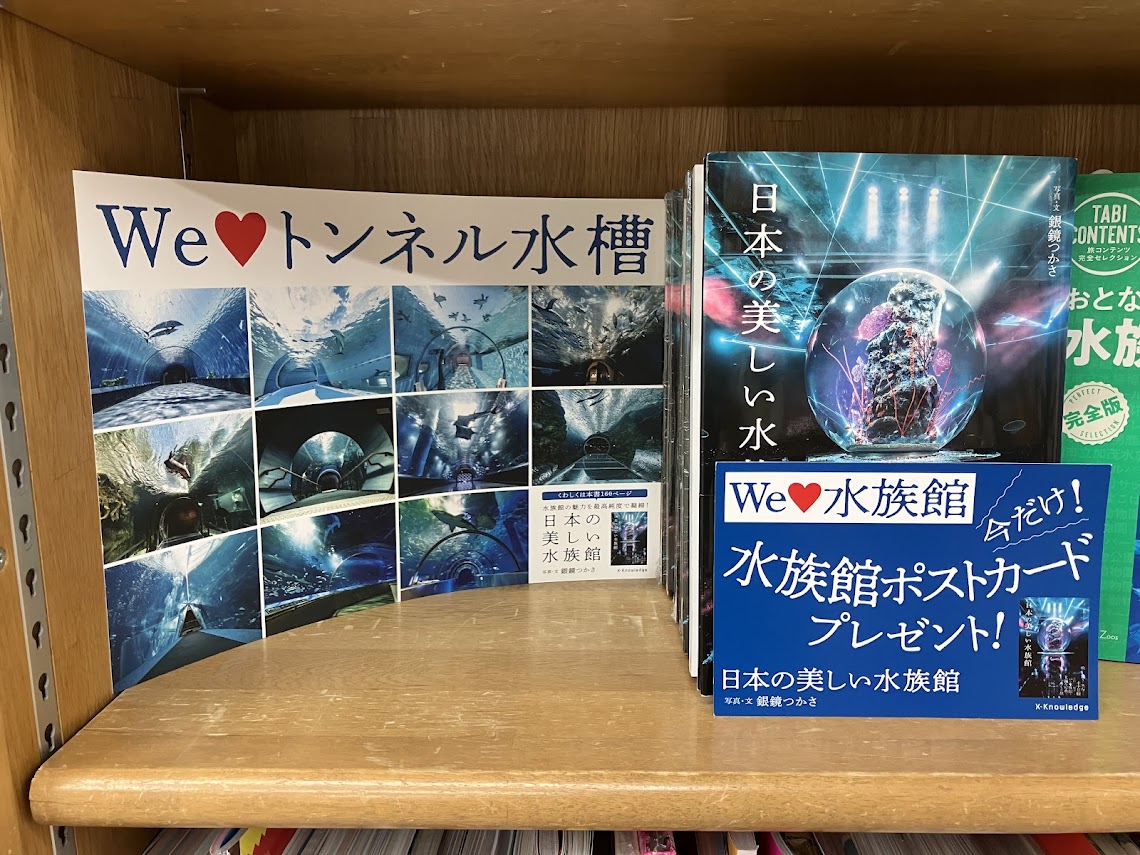 美しい彼 １st 写真集 ジュンク堂書店　ポストカード1枚　付き ジュンク堂書店池袋本店 実用書・地図・文具担当 on X: 
