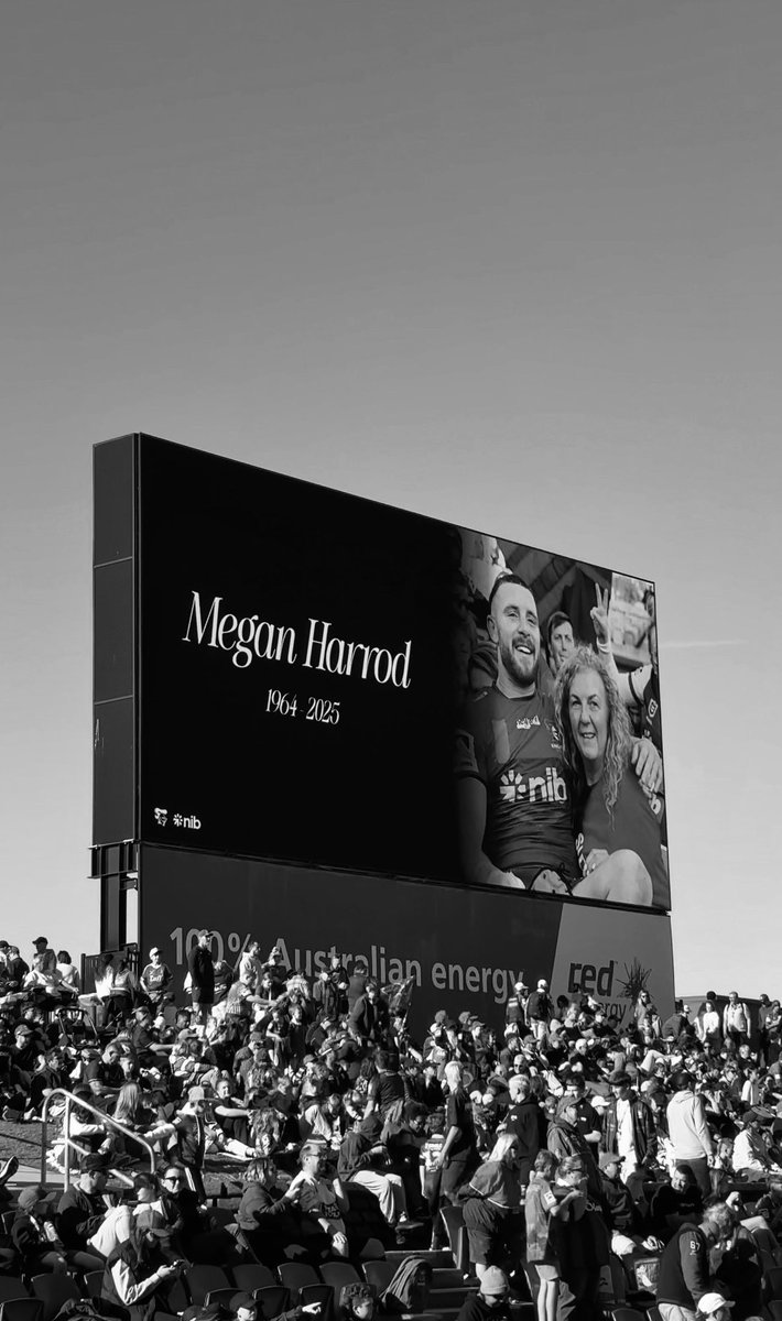 Jackson Hastings tweet media