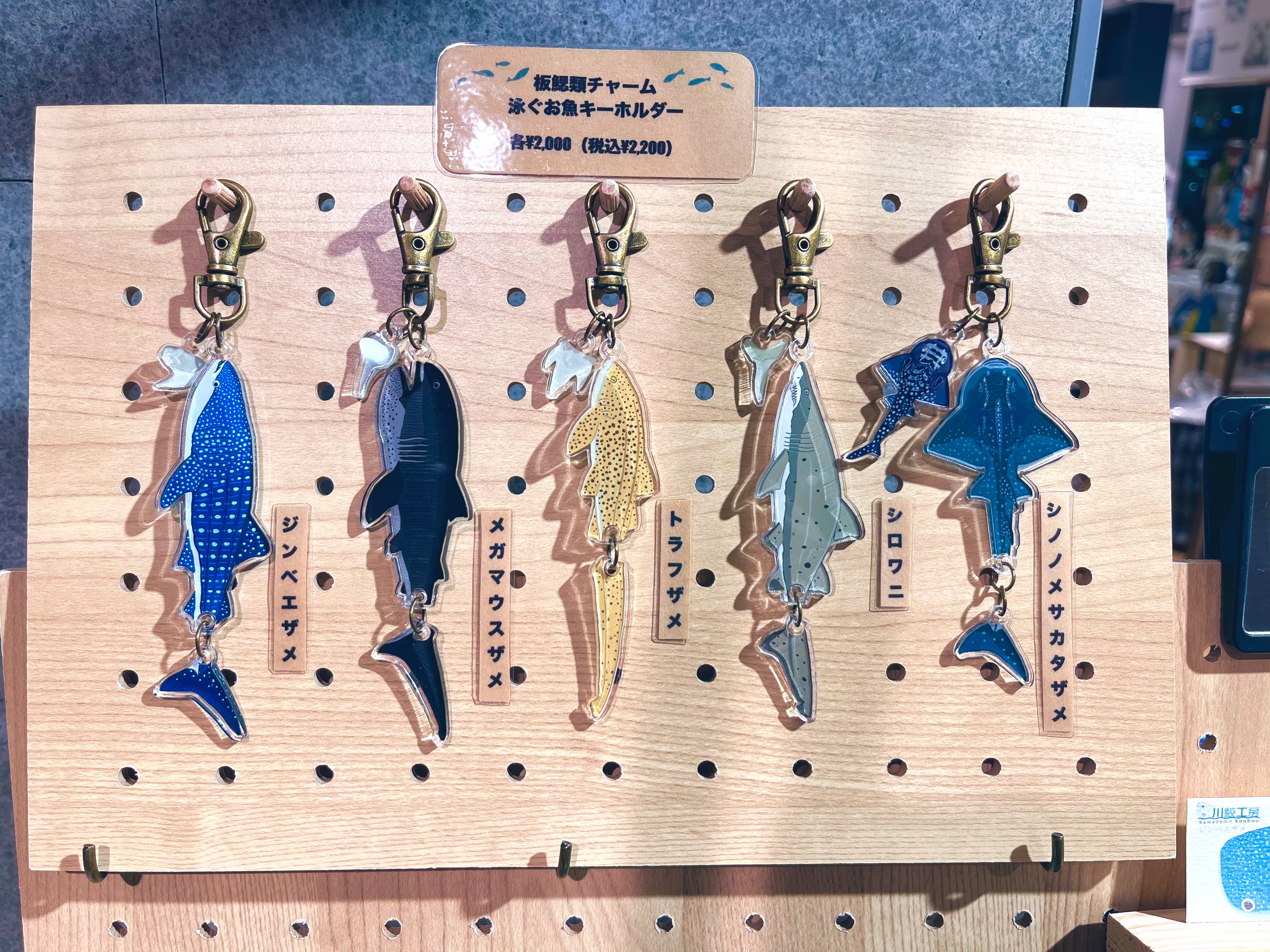 川鮫工房｜人と水辺を繋ぐ生き物作家◇サメフィーバー🦈7/16〜7