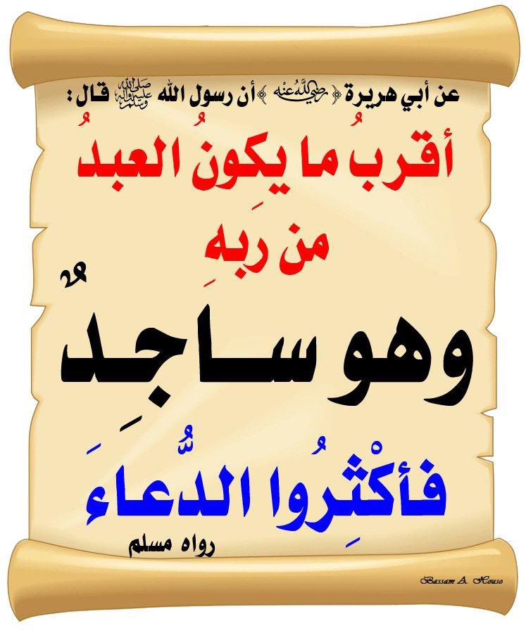 hedayakw's tweet image. ⚡️
ألح على الله في السجود ولا تستبطئ الإجابة
#الهدايه_الخيريه