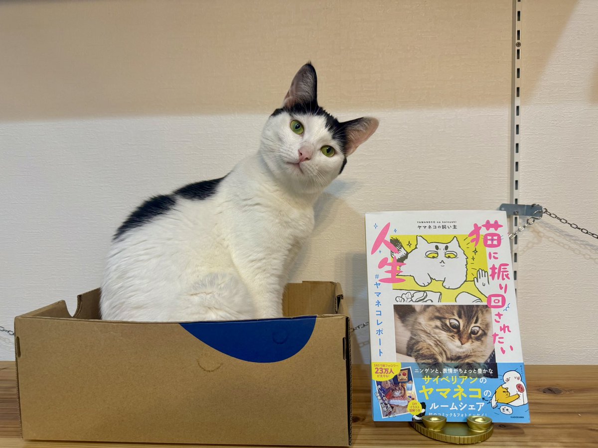 なみそさん@omochi_nam01 宅の猫ちゃんたちを描かせていただきました