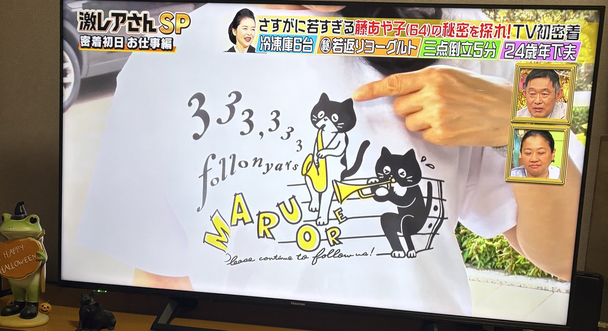 ねこ♡発送は週末出品です こはく@猫飼いの民 on X: 
