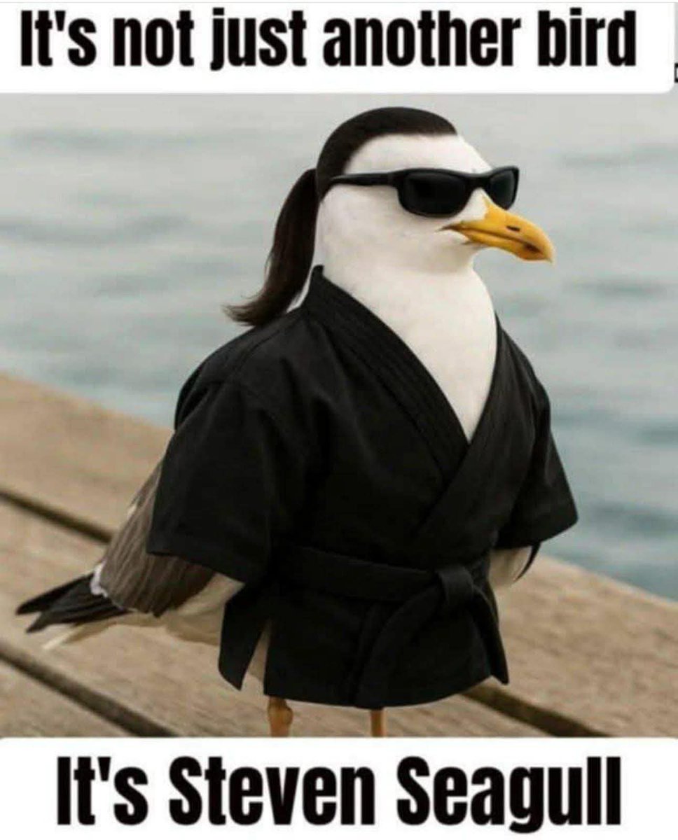 Shouldn't laugh but 😂🤦‍♂️😂🤦‍♂️😂