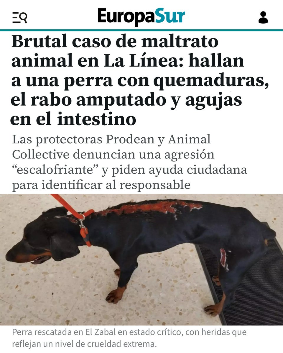 ❌¡Basta ya!

🐶Este perro es uno más de los muchos que son cruelmente maltratados a diario en nuestro país sin consecuencias.

🚓Toda persona que maltrate a un animal tiene que entrar en prisión.

🙏Gracias a <a href="/PRODEAN_org/">Fundación PRODEAN</a> y The Animal Collective por hacerse cargo de este perro.
