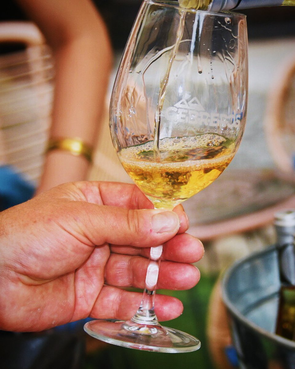 🟡ALBILLO REAL🟡

A un par de semanas de la llegada de agosto, eso sólo significa una cosa para nuestros elaboradores... las vacaciones llegan a su fin🏖️, llega la vendimia del albillo real✂️.

Y recuerda, llámalo por su nombre, en la D.O.P. Cebreros, el albillo es ALBILLO REAL.