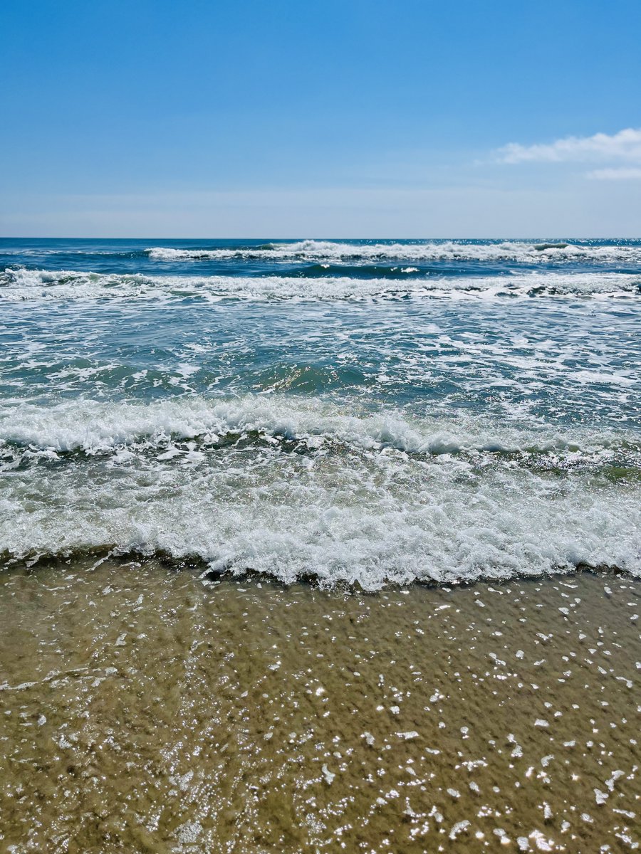 We love seeing how Sagers make the most of their time off! ☀️
 
VP of Sage's Government Practice, Stephanie Trager, enjoyed the sun and salty air of the Outer Banks and long walks on the beach with her family and dog, Ellie. 🐾
 
#SageSummer