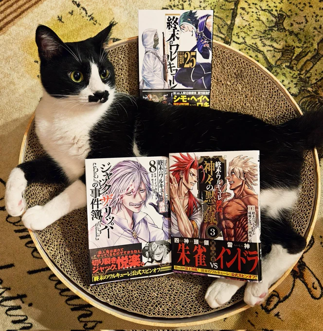 献本!発売は明後日からです～!今回もよろしくお願いいたします!! 