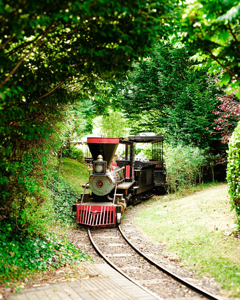 Choo! Choo! The best summer plans are just an online booking away!🚂