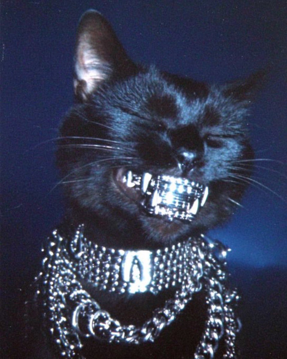 🟩 REIGN In (@kryptoreign) on Twitter photo UNO
$andrea UNO
$andrea