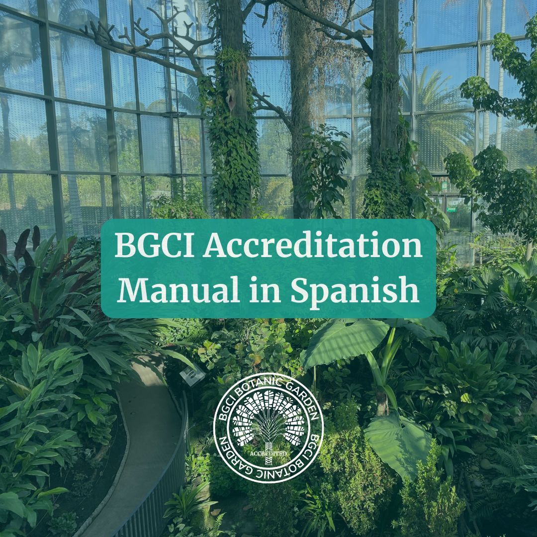 bgci's tweet image. 📰 The BGCI Manual for Botanic Garden Accreditation is now available in Spanish 🌎! 

Helping more gardens engage with our accreditation process and strengthen plant conservation worldwide. buff.ly/qtqA5uY 

#BotanicGardenAccreditation #PlantConservation #Accredition