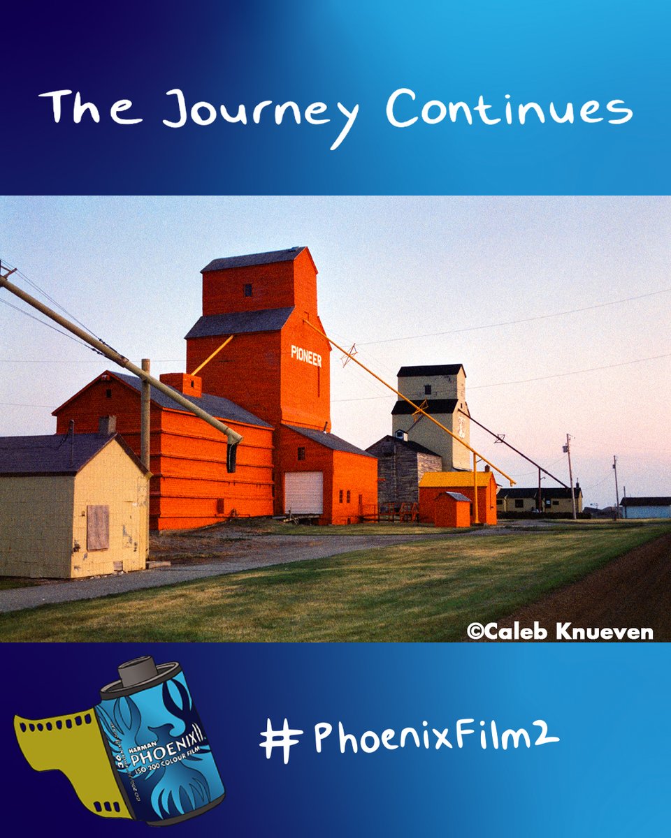 HARMAN Phoenix II -  Available now 

Back with a brand-new formulation! Phoenix II is still full of character but with improved contrast, grain, highlight / shadow retention, and sharpness

harmanphoto.co.uk

#thejourneycontinues #phoenixfilm2 #harmanphoenix2 #harmanphoto