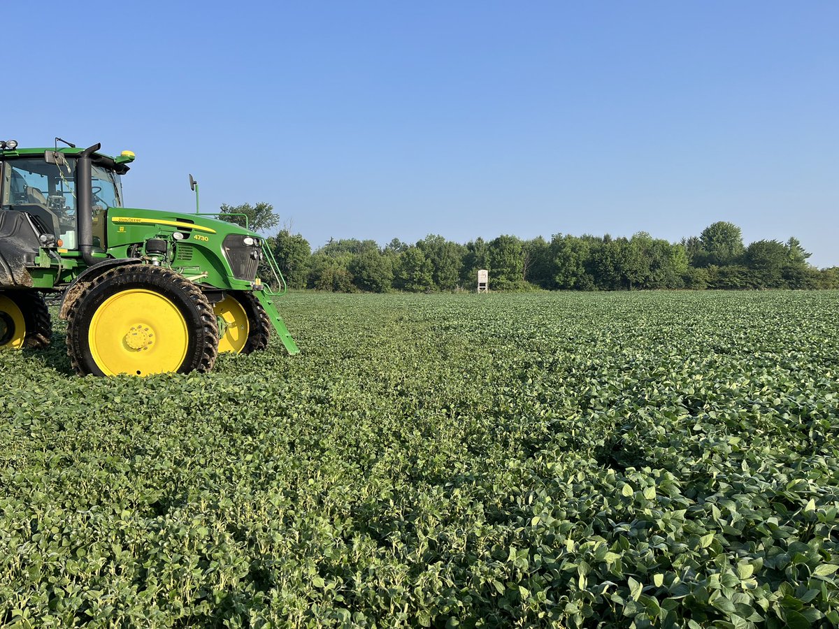 Kyle DeCorte tweet media