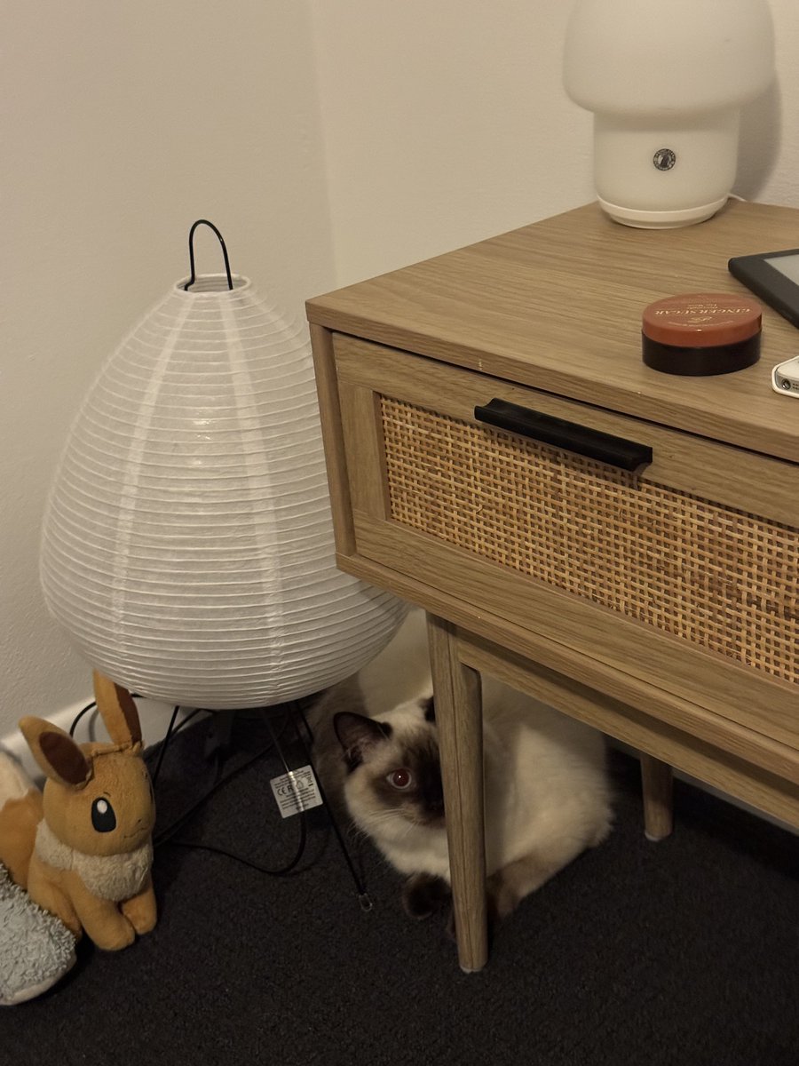 고양이씨의
최애 구석이됨