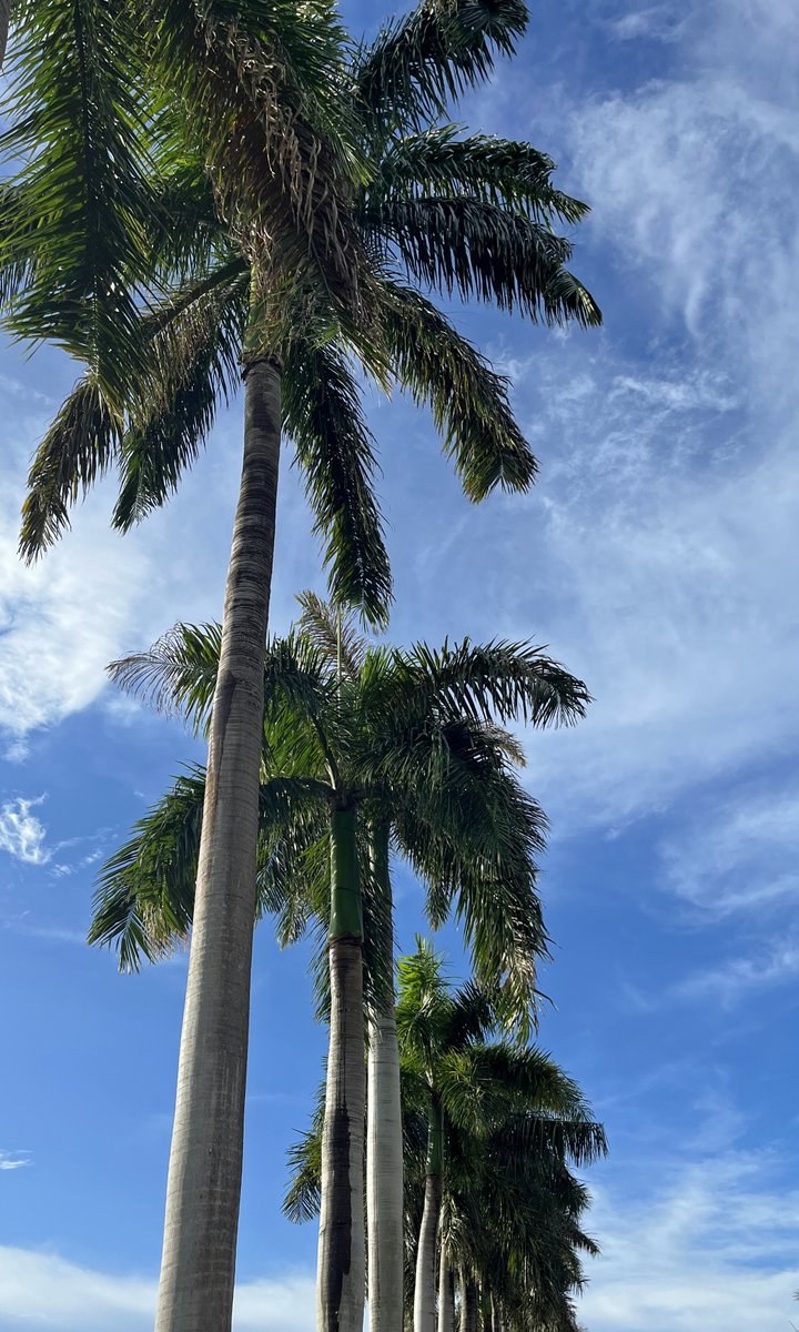 thINK Forum (@think_forum) on Twitter photo It’s the final morning of #thINKAhead2025 🌴 We’re soaking it in with coffee, connections, and a view that’s hard to leave behind. It’s the final morning of #thINKAhead2025 🌴 We’re soaking it in with coffee, connections, and a view that’s hard to leave behind.