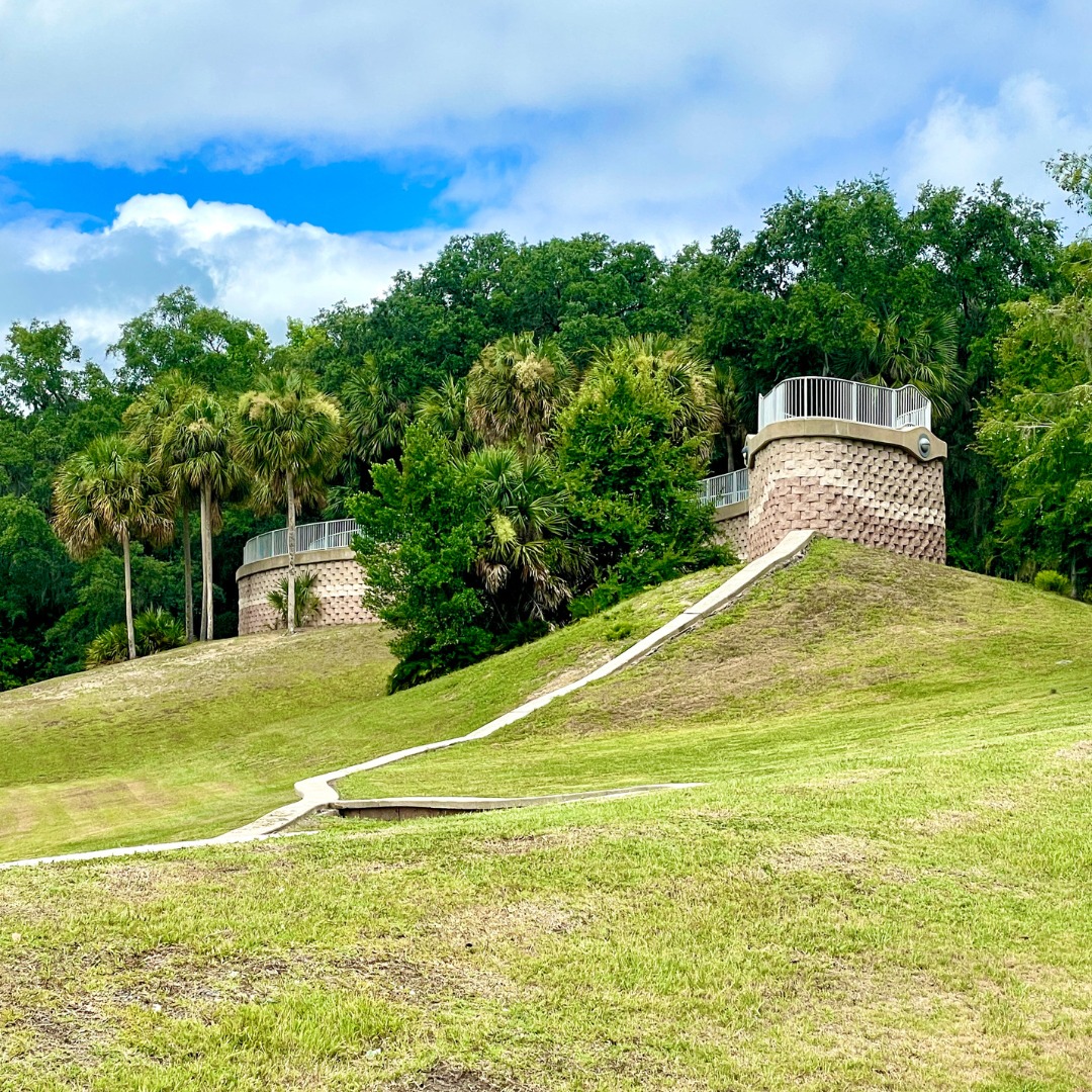 MyFDOT's tweet image. World Snake Day? Why not celebrate by slithering your way to the I-75 Paynes Prairie rest stop in @MyFDOT_NEFL to marvel at the FDOT "Snake Wall"! 🐍 This unique, winding wall offers stunning panoramic views of I-75 and the breathtaking Paynes Prairie while keeping wildlife out…