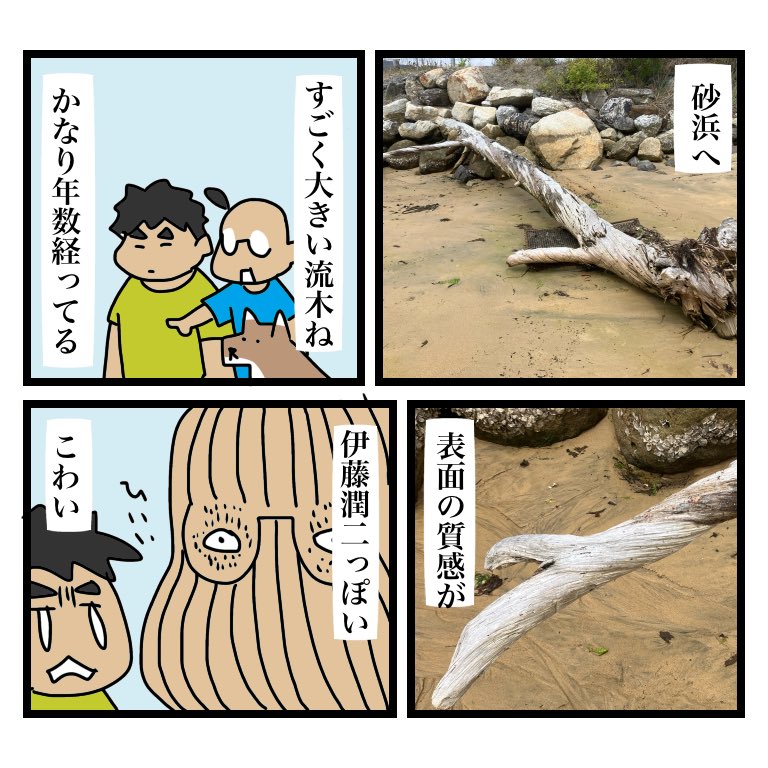 浜辺であれこれ拾うのが好きですが、さすがにこれは手が出ませんでした 