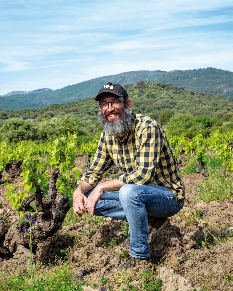 Los vinos de Vitícola Mentridana, la bodega de Curro Bareño en la Sierra de Gredos, en #avan24. En la añada 2021, tomó el relevo de Dani Landi y esta es su cuarta añada en la parte más meridional de la zona. ➡️ bit.ly/4lvGvwY