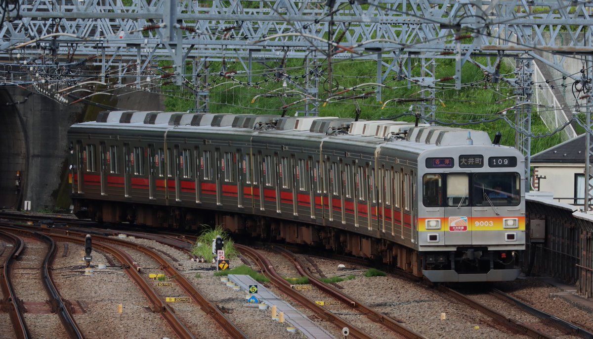 EOS7DMarkII's tweet photo. 9000系/9020系カウントダウン - 9003F
東横線時代に車内更新の第1号となり化粧板は木目調に。しかし車番・製造銘版、号車や禁煙表示は従来のプレートを流用した。大井町線への転入は2010年6月で3編成目。移籍当初表示器は幕式でした。後に床敷物は灰色、運行番号は白色化も。前回検査出場は2022-7。 https://t.co/czodPdSSqy