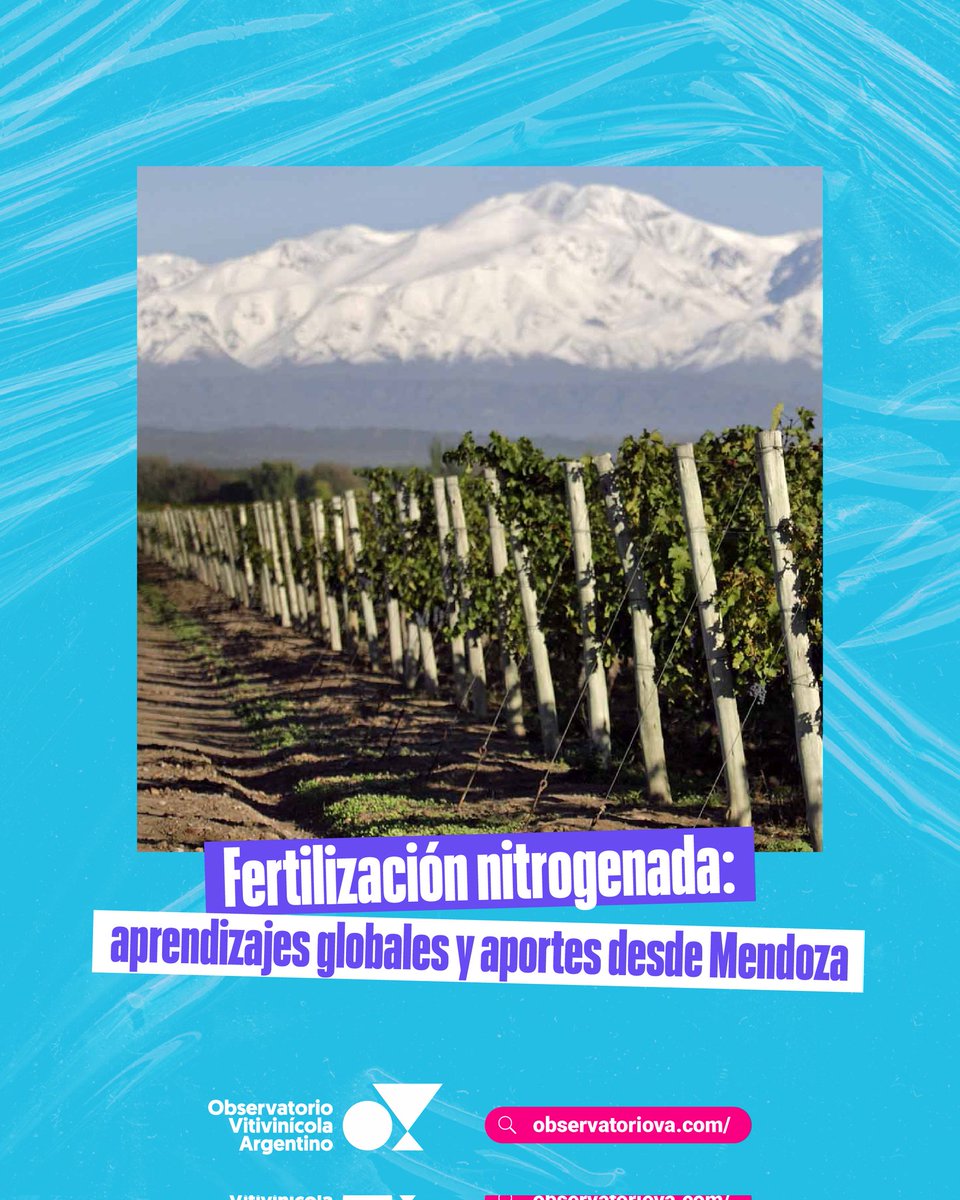 El uso del nitrógeno en los cultivos está en el centro del debate global. Pero no se trata sólo de teoría: en Mendoza se están haciendo ensayos concretos y generando datos que pueden marcar la diferencia.

Más información en observatoriova.com/2025/07/fertil…