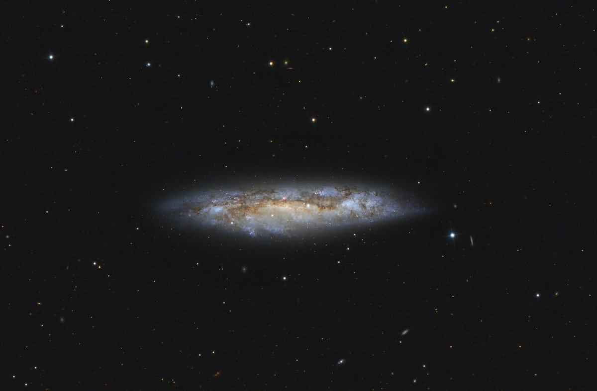 AstroBin_com's tweet image. AstroBin's Image of the Day: "Messier 108 in Detail" by Frank Sackenheim and Rainer Raupach - astrobin.com/jmtm77/
#astrophotography
