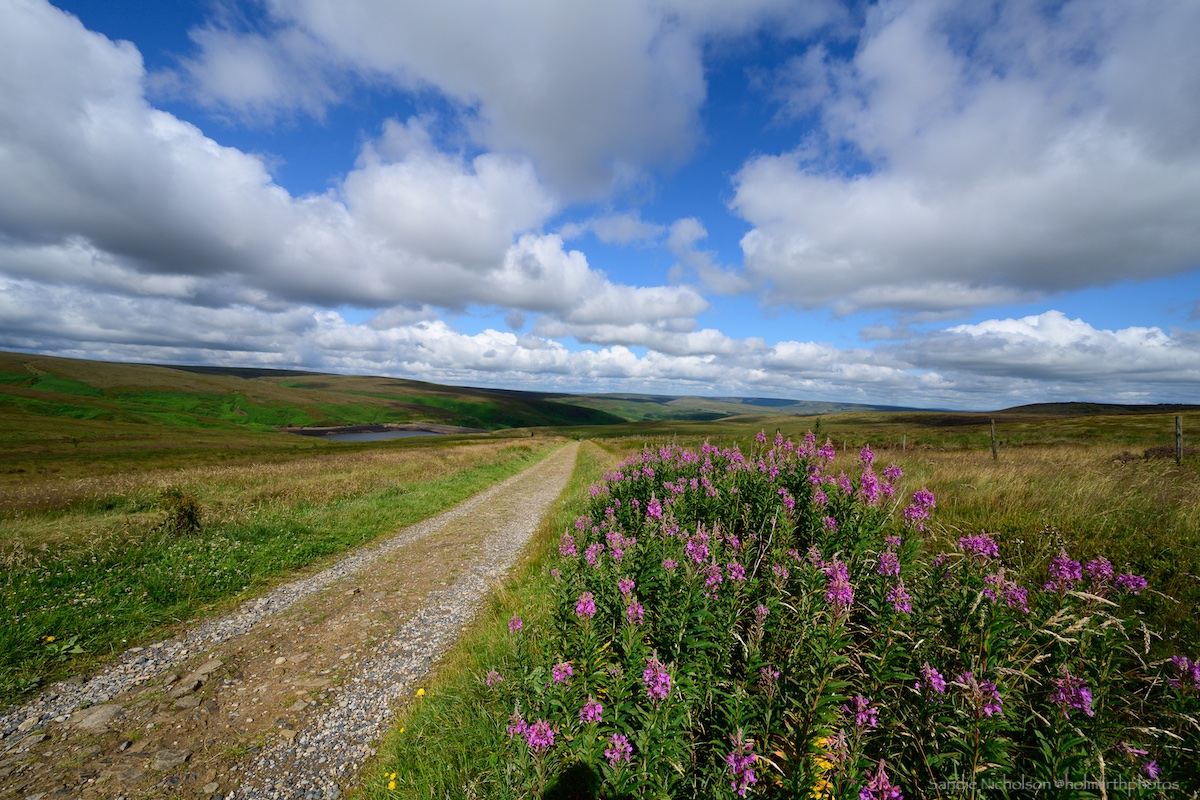 holmfirthphotos's tweet image. A beautiful sky in the 'frame' today and perfect walking weather along the Pennine Way!
@framinglandsc @AJacksonArtist @MarsdenmoorNT @nationaltrust @StormHour @ThePhotoHour @HuddsHub #marsdenmoor #huddersfield #yorkshire #PeakDistrict #loveukweather #WeatherWatchers #summer