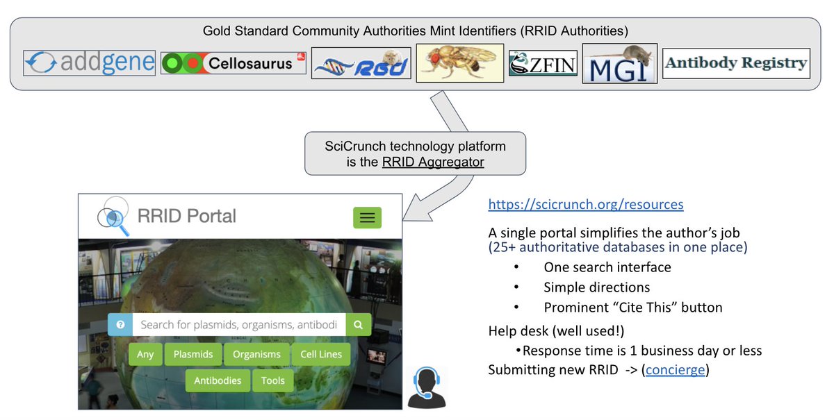 INCForg's tweet image. Help shape the future of research transparency: INCF is evaluating RRIDs for endorsement and we need your input!
RRIDs cite key research resources to improve reproducibility & are free, consistent, and machine-readable.
📅 Feedback by Aug 31 at incf.org/commentaries/c…