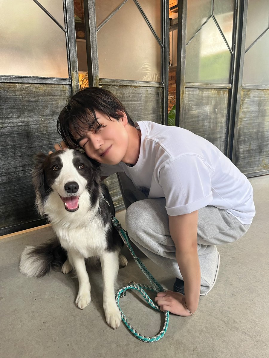 前田 大輔 / Daisuke Maeda tweet media