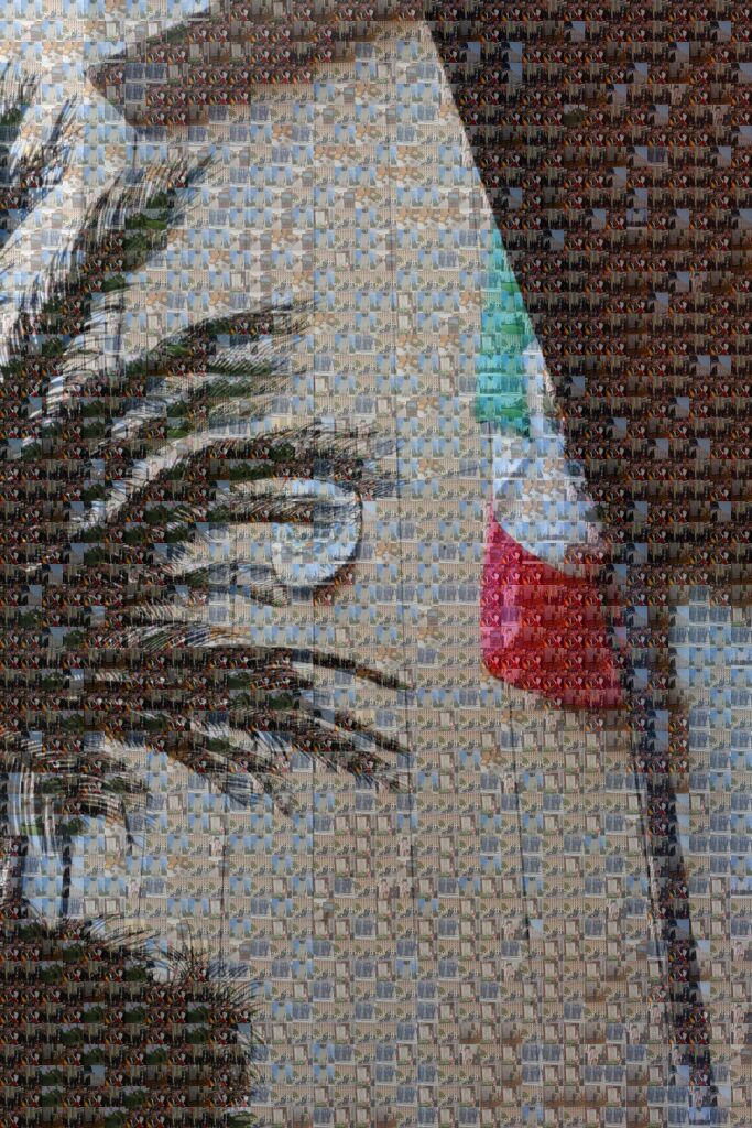 ludwigbarragan's tweet image. En LATÍN el nombre oficial de la Embajada de México ante la Santa Sede sería:

Mexici legatio ad Sanctam Sedem.