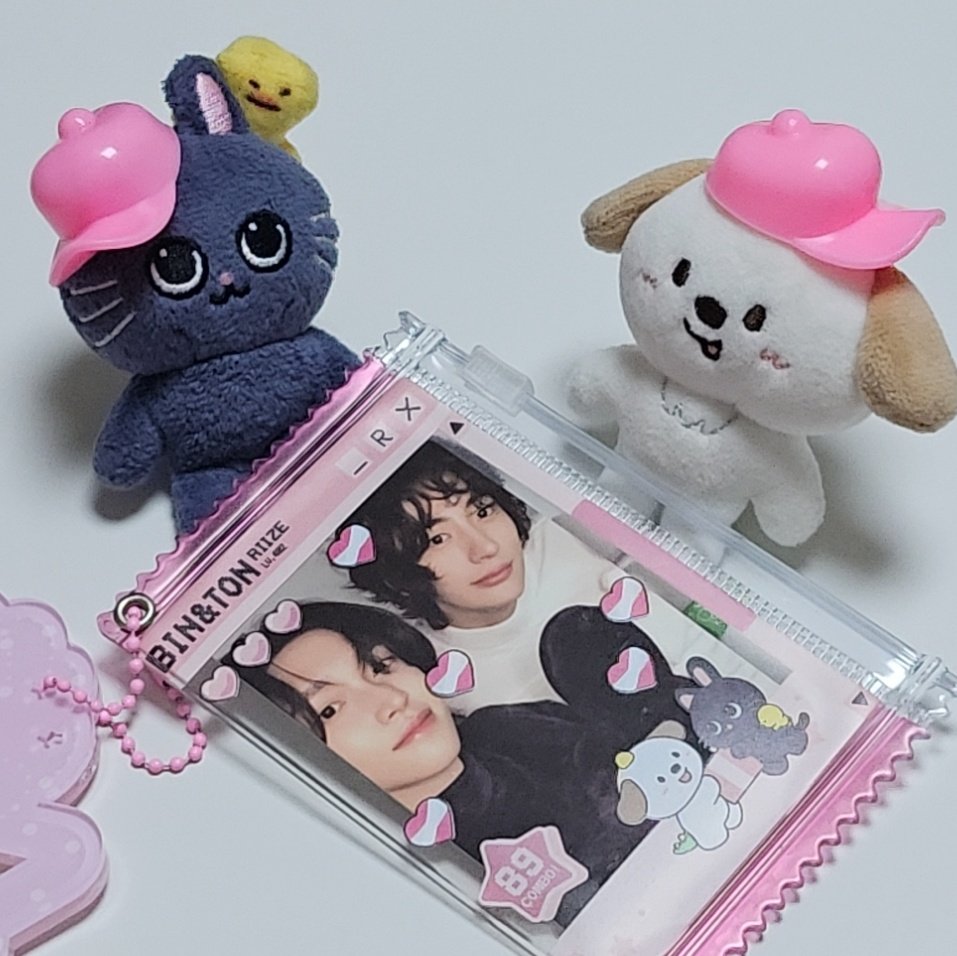 BRIIZeeeeeeeee's tweet image. 🐶🐱 귀염 뽀짝한 포카파우치 ❤️‍🩹

@tonnemi