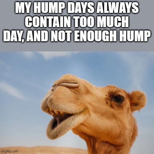 Resolute Veteran (@resolutevet) on Twitter photo Good Morning X Family! I hope everyone had a peaceful night and kick ass dreams. Have a good HUMP DAY! Good Morning X Family! I hope everyone had a peaceful night and kick ass dreams. Have a good HUMP DAY!