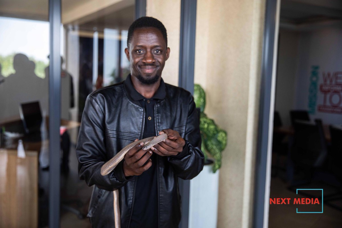 masabalaz's tweet image. I think I should own one of these. . . So peaceful to carry🤣- hope I have your support my 'friends' ?
Video loading on my Tiktok & IG:
linktr.ee/lazmasaba (tap)
#WorldSnakeDay2025 | #wildlife | #LAZDidit