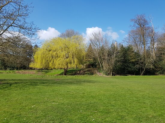 RBKingston's tweet image. #NEWS: Coveted Green Flag Award bestowed on three Kingston borough parks.
Canbury Gardens, Churchfields Recreation Ground and Fishponds Park have each been recognised for achieving the international quality mark for parks and green spaces.
Read more: ow.ly/5VXz50WqsoZ